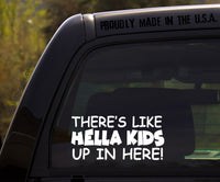 There's Like Hella Kids up in here / Hella Kids in Here Decal / Funny Kids Inside on Board Sticker